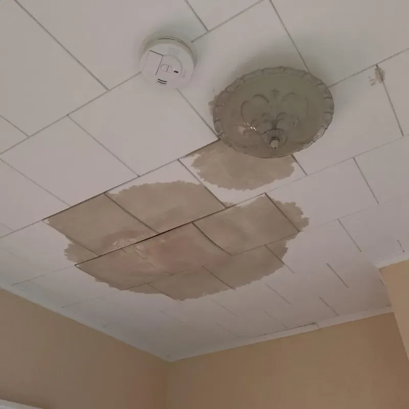 Ceiling Water Damage Repair in Live Oak, TX