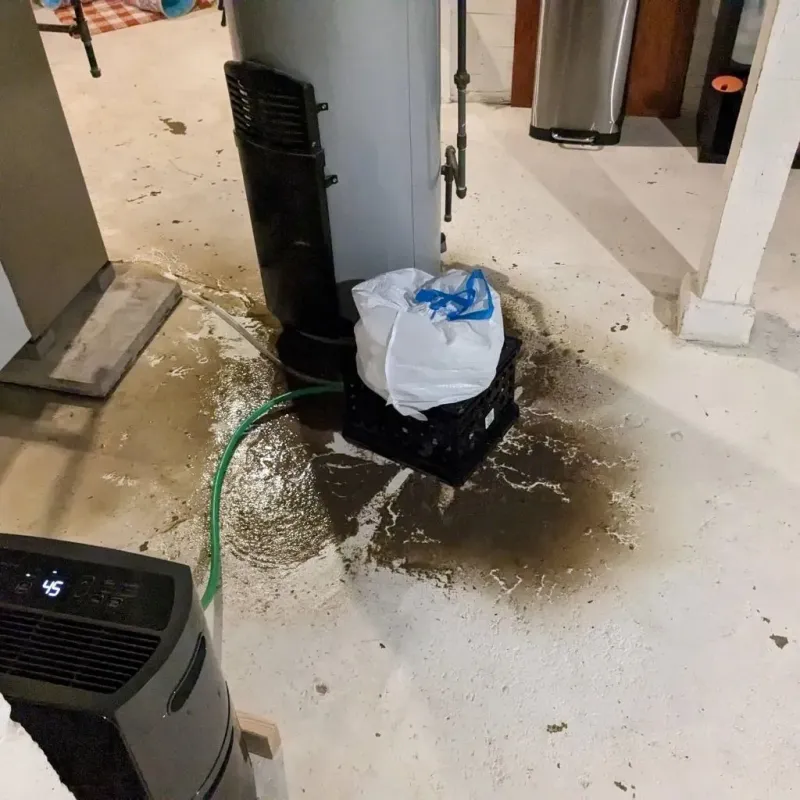 Sewage Backup Cleanup Service in Live Oak, TX